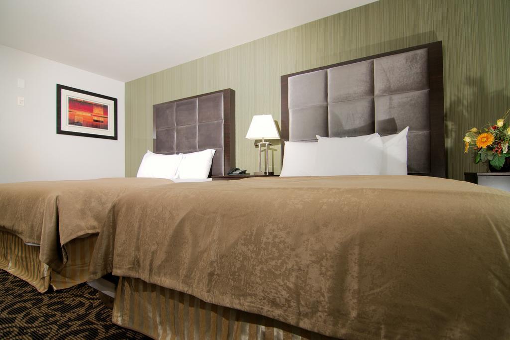 Paradise Inn And Suites Redwater Cameră foto